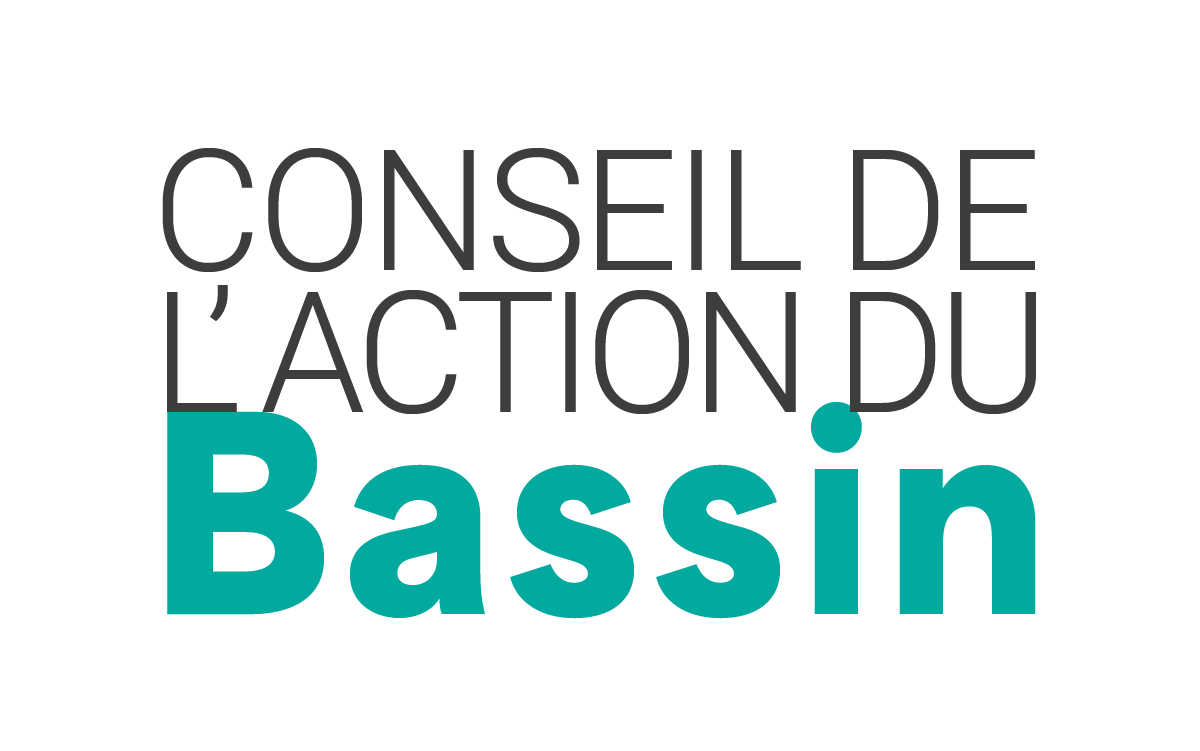 1er Conseil de l'Action du Bassin